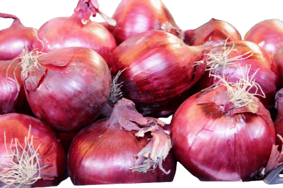 Onion Red - Per lb