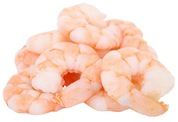 Shrimp Cooked (16-20) - 12 oz