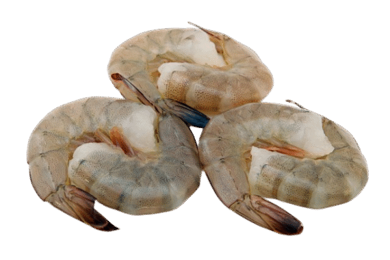 Shrimp Headless Raw (16-20) - Per lb